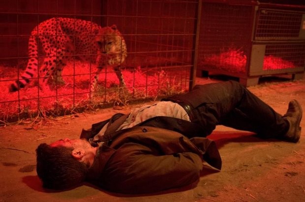 Fasandræberne Fotoğrafı