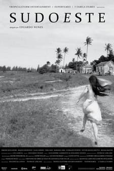 Southwest (2012) afişi