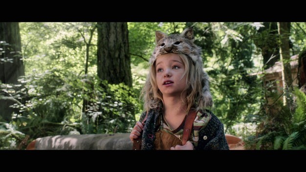 Kaptan Fantastik Fotoğrafı