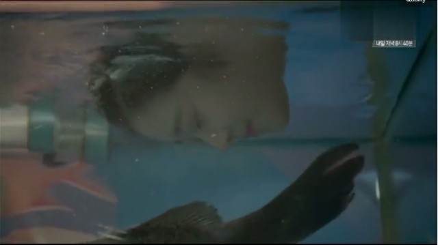 The Mermaid Fotoğrafı