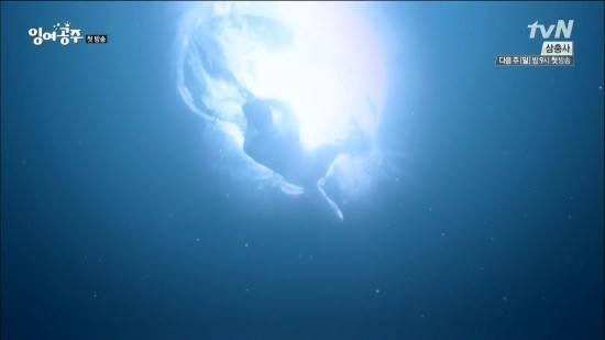 The Mermaid Fotoğrafı