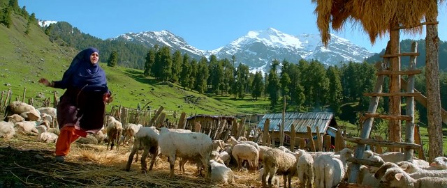 Sevginin Gücü Fotoğrafı