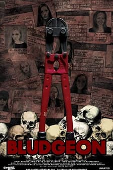 Bludgeon (2013) afişi