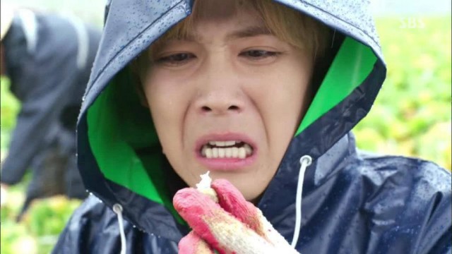 Modern Farmer Fotoğrafı