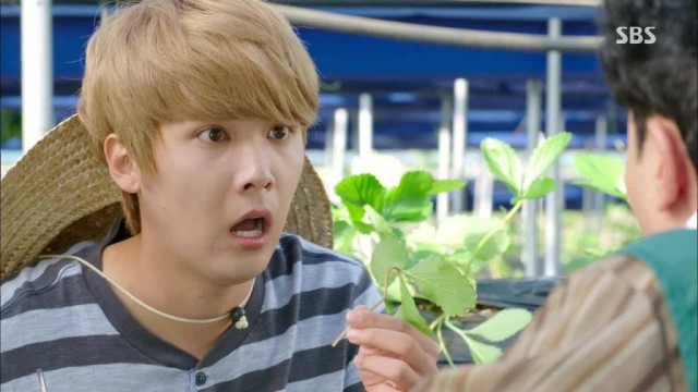 Modern Farmer Fotoğrafı