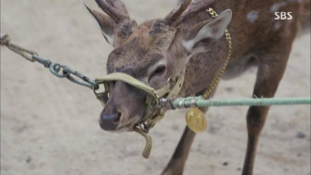 Modern Farmer Fotoğrafı