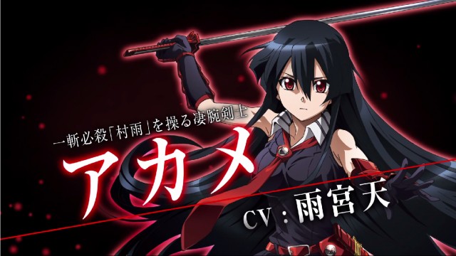 Akame ga Kill! fotoğrafı