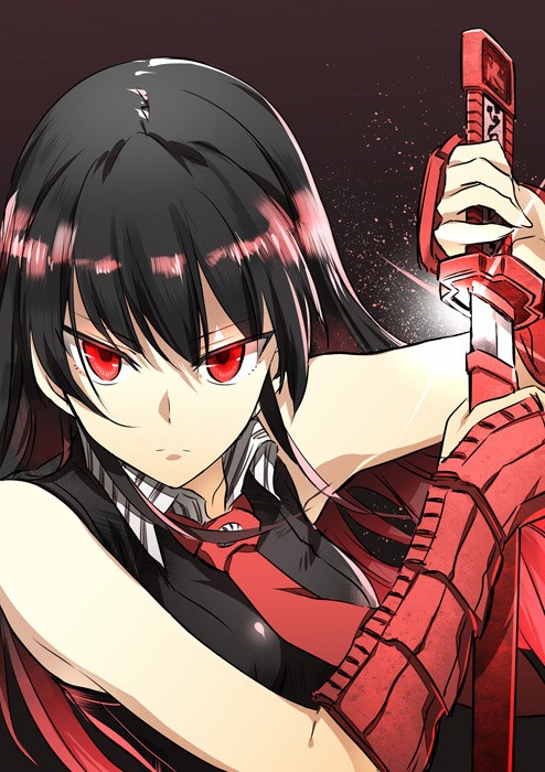 Akame ga Kill! fotoğrafı