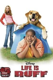 Çocuk Ve Köpek (2005) afişi