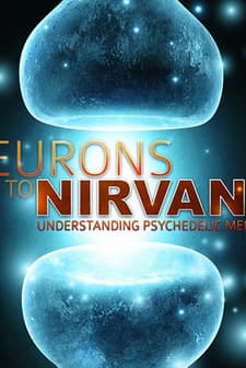 Neurons to Nirvana: Understanding Psychedelic Medicines (2013) afişi