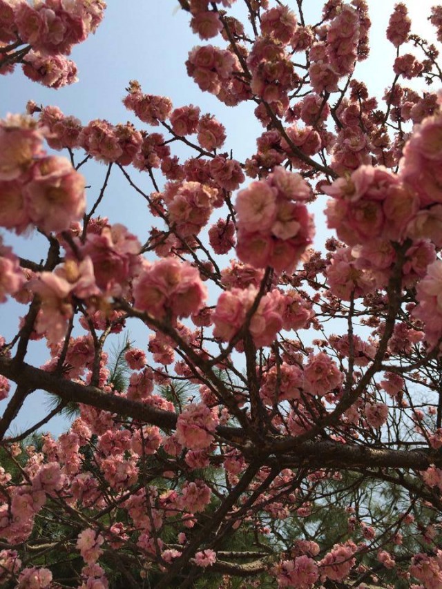 Bekir Develi ile Keşif Zamanı Fotoğrafı