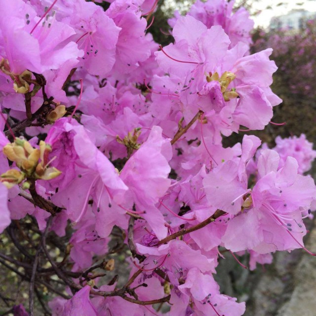 Bekir Develi ile Keşif Zamanı Fotoğrafı