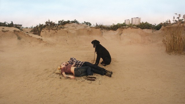 İnsanları Seyreden Güvercin fotoğrafı