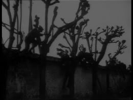 Vampirler Fotoğrafı