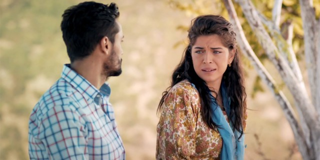 Yeşil Deniz fotoğrafı