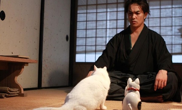 Neko Zamurai Fotoğrafı