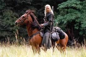 Wiedzmin fotoğrafı