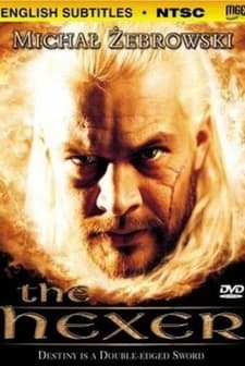 Wiedzmin (2001) afişi