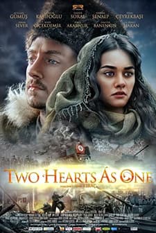 Birleşen Gönüller (2014) afişi