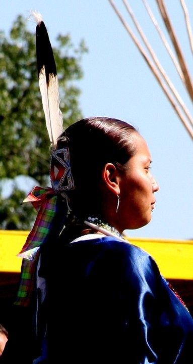 Oturan Boğanın İzinde Fotoğrafı