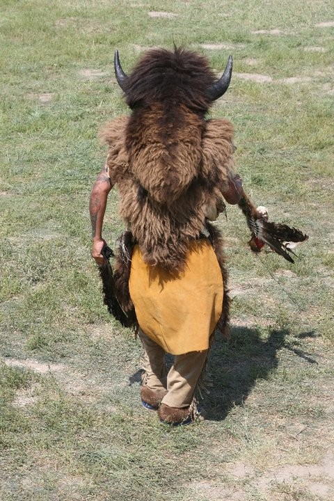 Oturan Boğanın İzinde Fotoğrafı