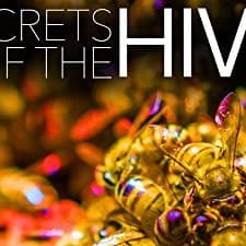 The Hive (2015) afişi