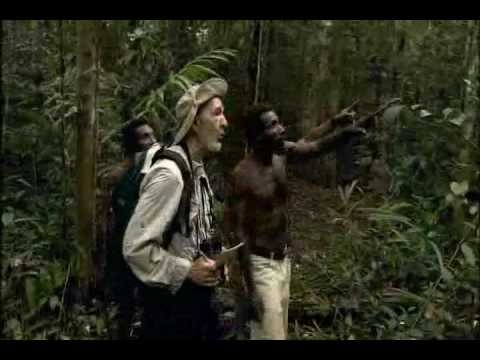 Tüfek, Mikrop ve Çelik fotoğrafı