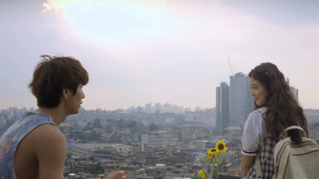 Love Cell Fotoğrafı