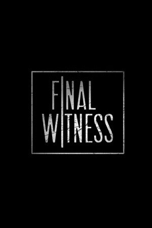 Final Witness (2012) afişi