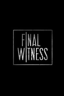 Final Witness (2012) afişi