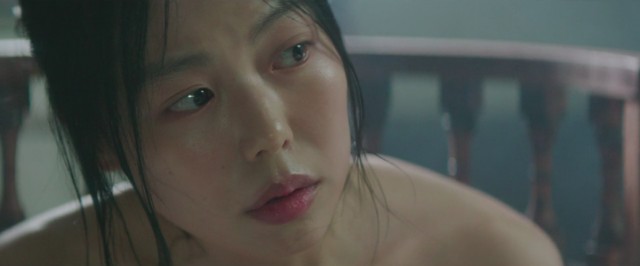 Hizmetçi Fotoğrafı