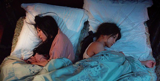 Hizmetçi Fotoğrafı