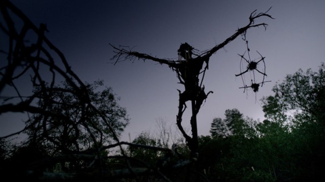 Mr. Jones fotoğrafı