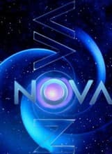 Parlayan Yıldız afişi