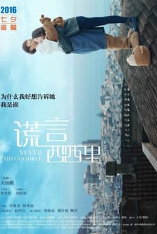 Never Said Goodbye (2016) afişi