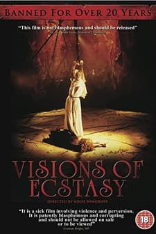 Visions of Ecstasy (1989) afişi