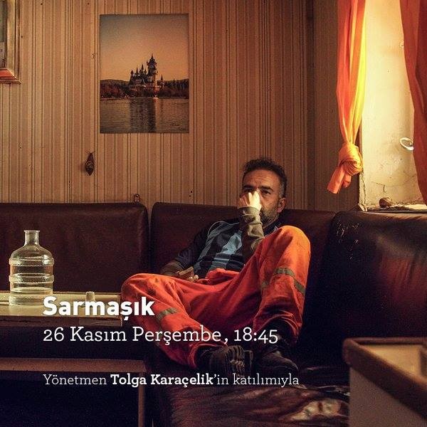 Sarmaşık Fotoğrafı