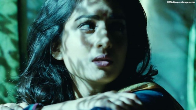 Hawaizaada Fotoğrafı