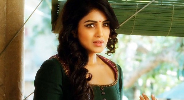 Hawaizaada fotoğrafı