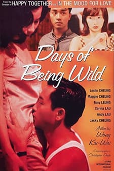 Days of Being Wild (1990) afişi
