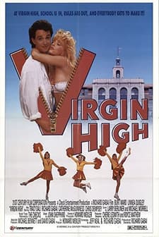 Virgin High (1991) afişi