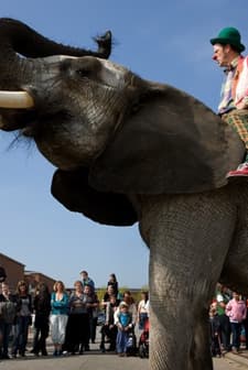 Çocuk Ve Palyaço (2012) afişi