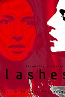 Flashes (2014) afişi
