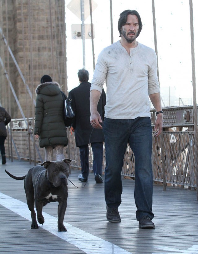 John Wick 2 Fotoğrafı