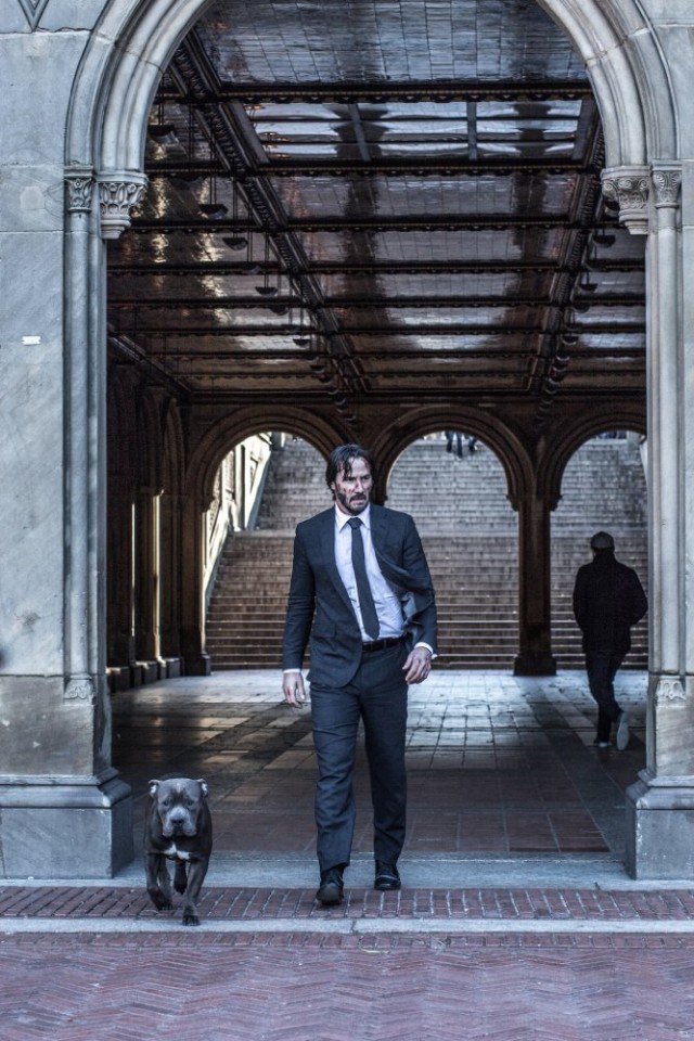 John Wick 2 Fotoğrafı