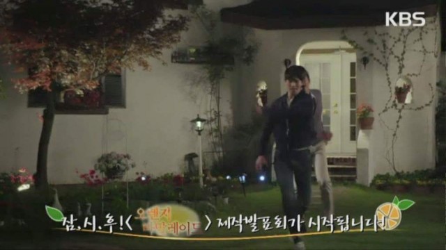 Orange Marmalade Fotoğrafı