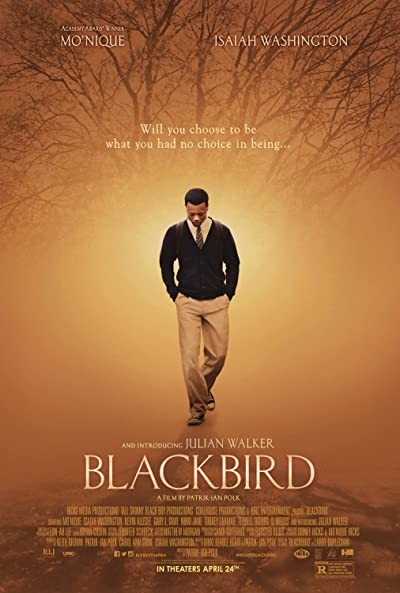 Blackbird (2014) afişi