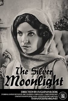 The Silver Moonlight (2015) afişi