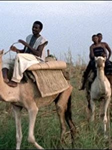 L'éxilé (1980) afişi