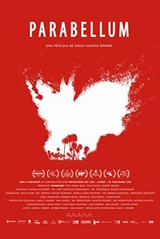 Parabellum (2015) afişi